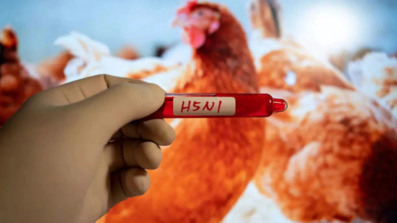 Bird Flu Case Confirmed in Missouri